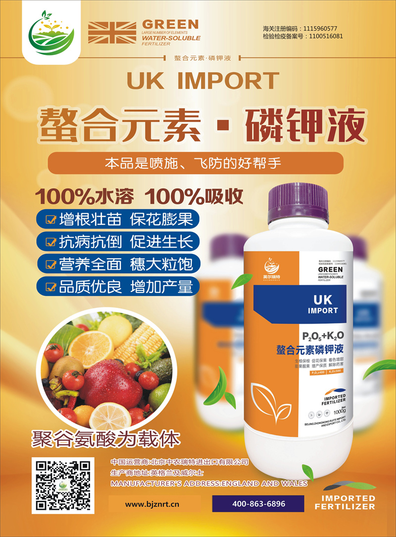 ����Ԫ�ء����Һ