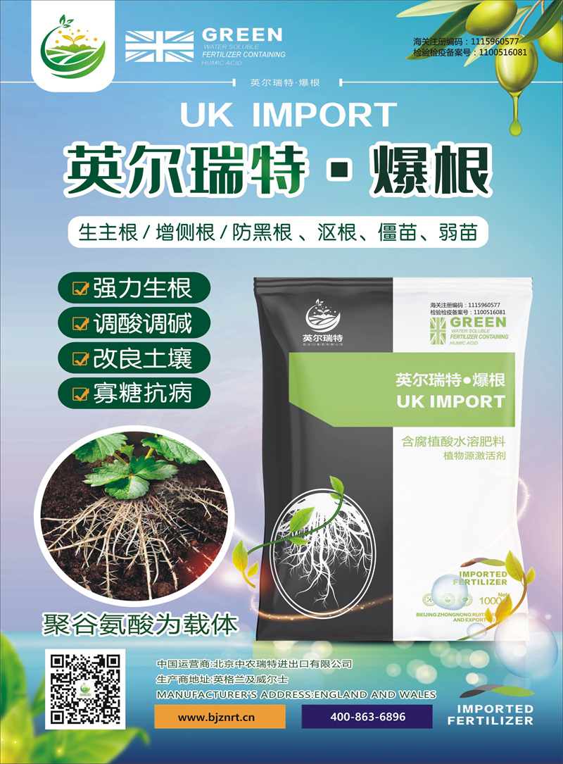 ���� ����